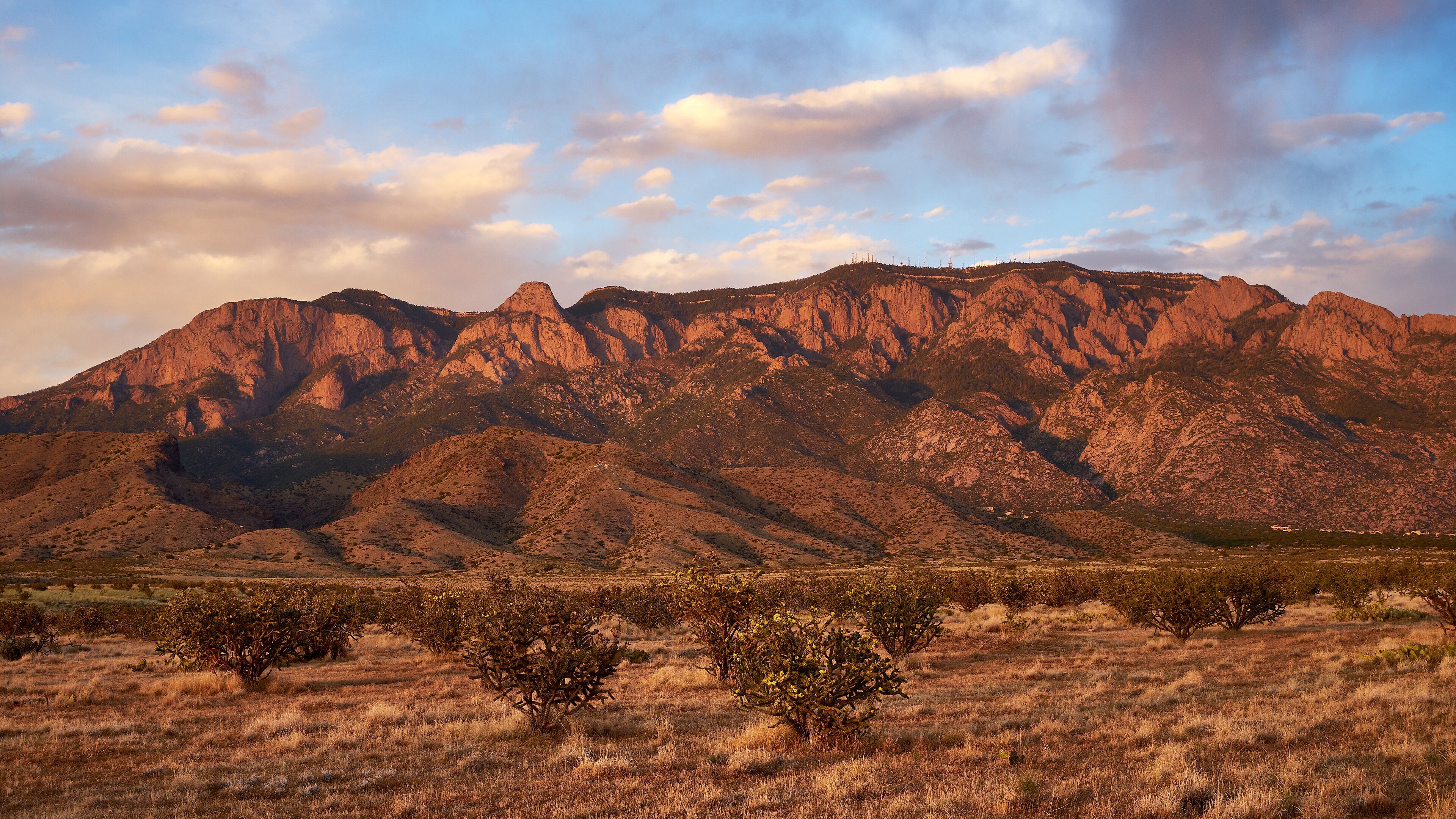 This week's Albuquerque walk: Paseo del Bosque suggested hike